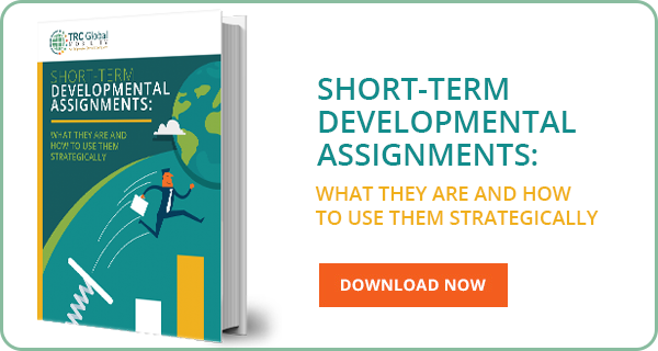 short term development assignments white paper